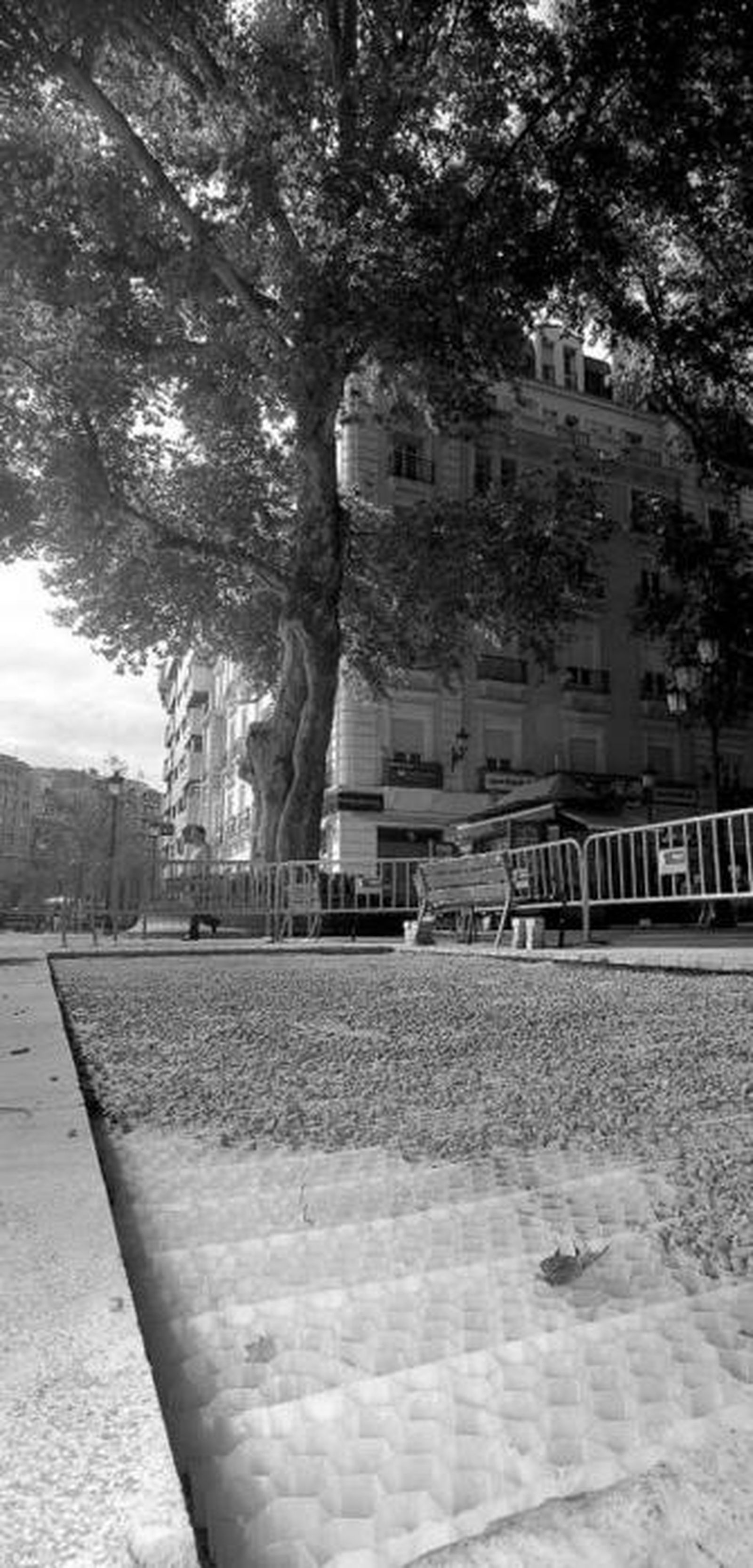 Zona de obras en la Plaza del Campillo.