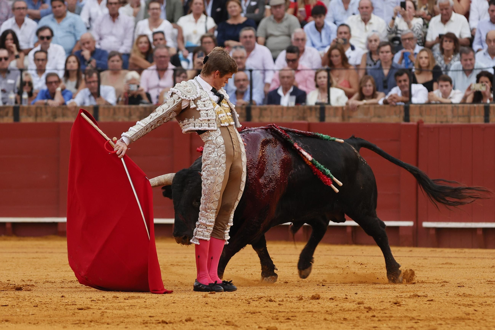 Las imágenes del festejo