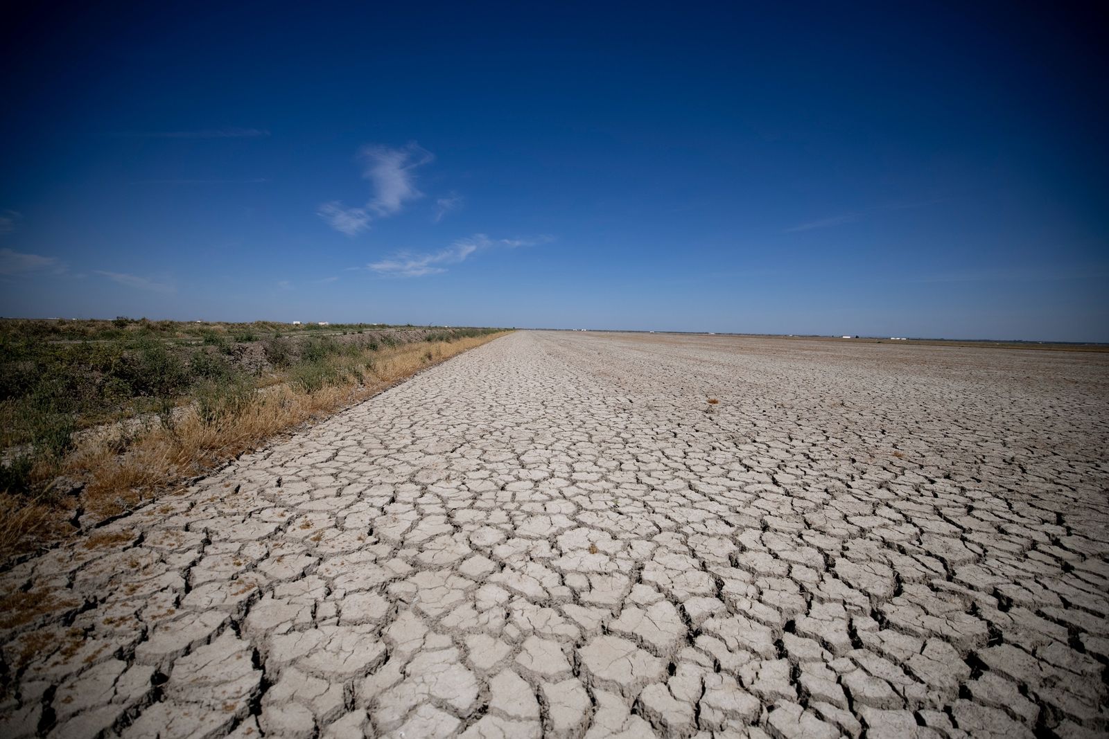 Una imagen de la marisma cerca de Isla Mayor tomada hace unos meses.