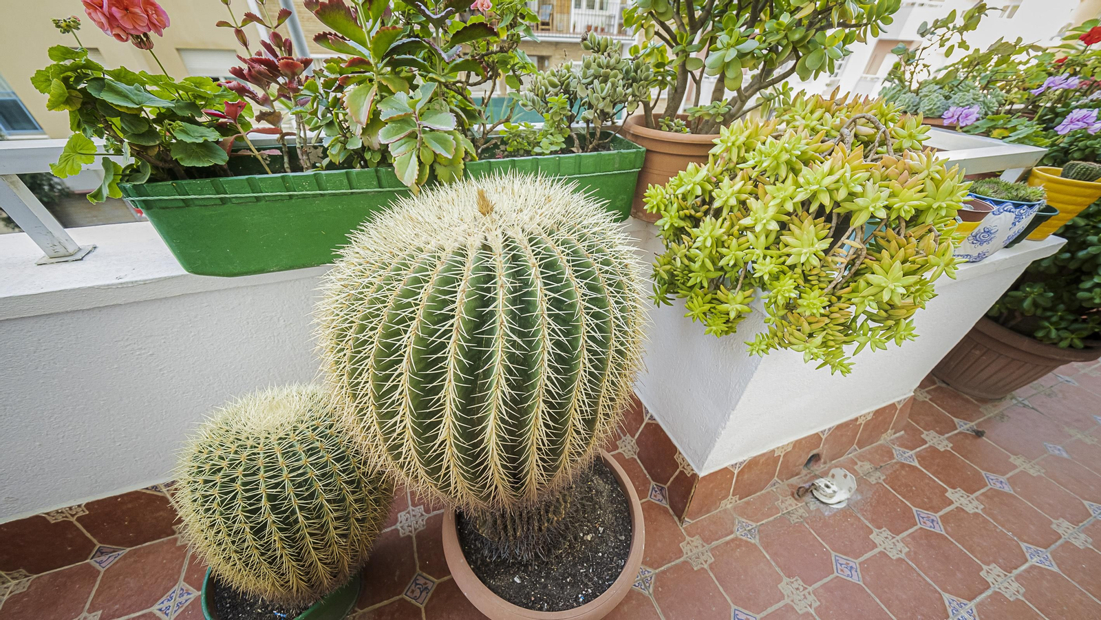 Interior de la casa: Calle Brasil