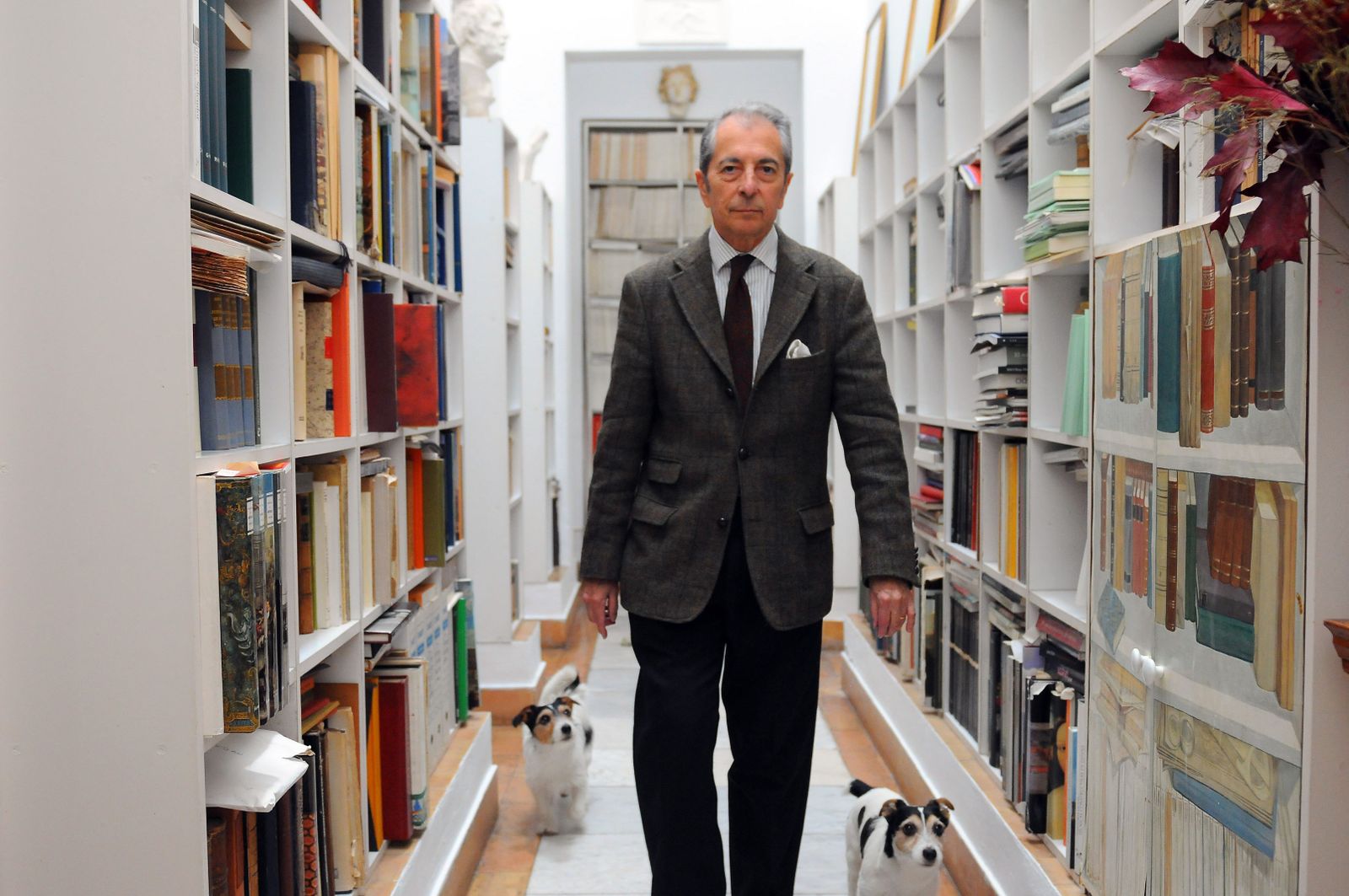 Vicente Lleó en su hogar, entre sus libros y sus perros.