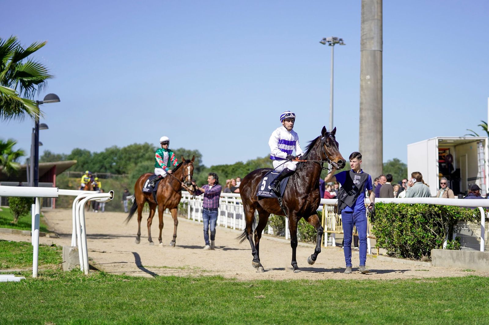 Las fotos del Premio Diario de Sevilla en el hipódromo de Dos Hermanas
