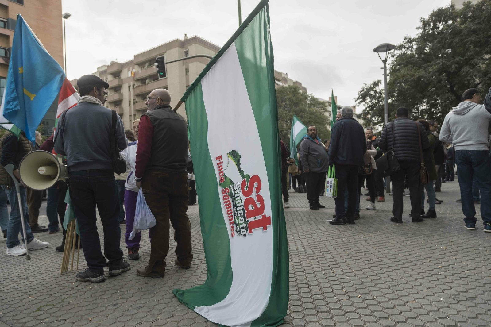 Algunos de los concentrados en la primera jornada de juicio