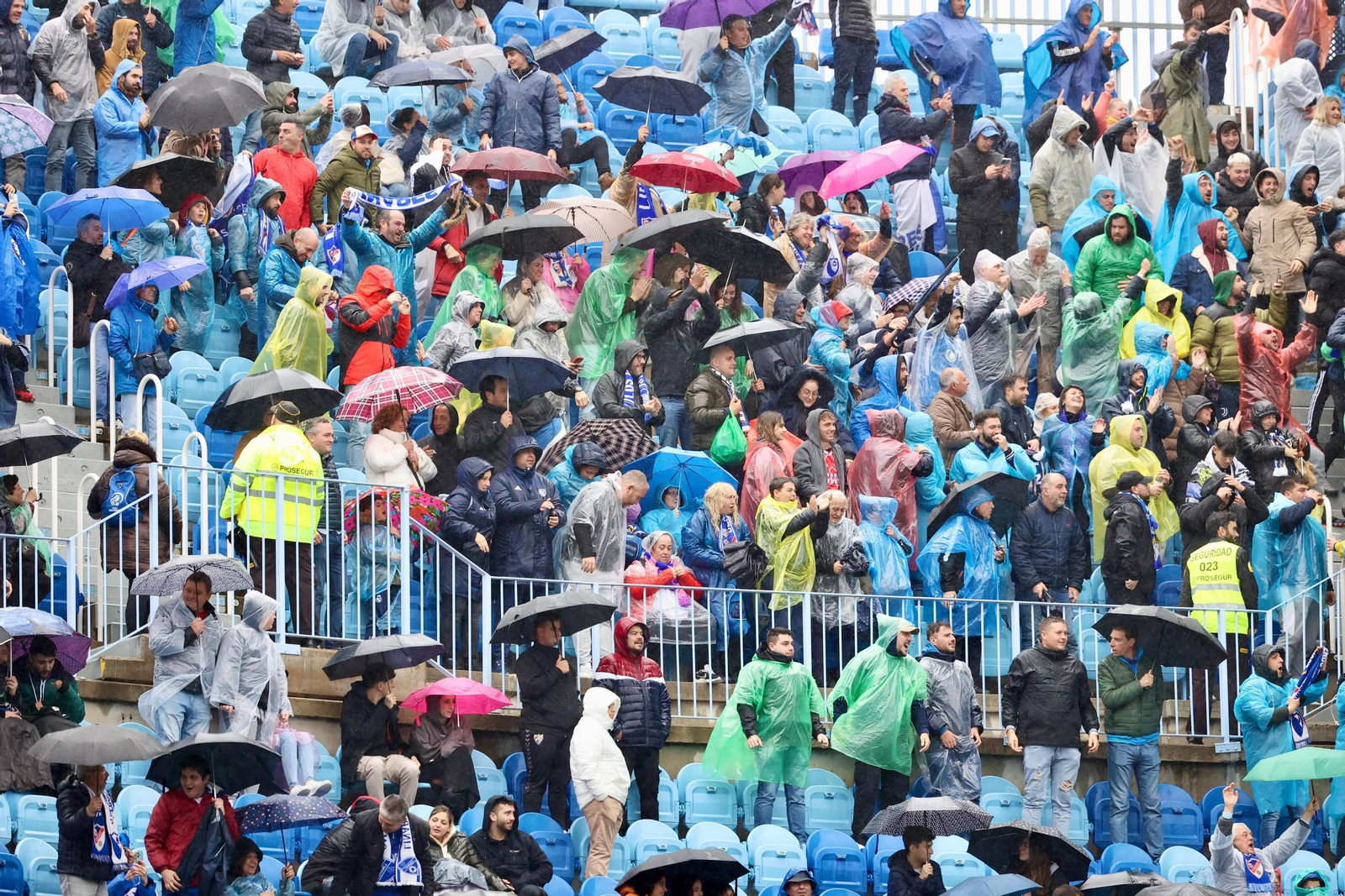 Búscate en La Rosaleda en el Málaga CF -  Linares