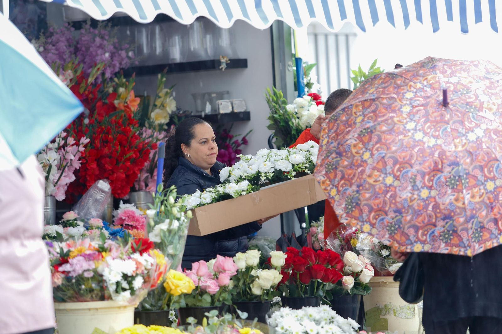 Fotos de los preparativos en el cementerio de La Línea por el Día de Todos los Santos