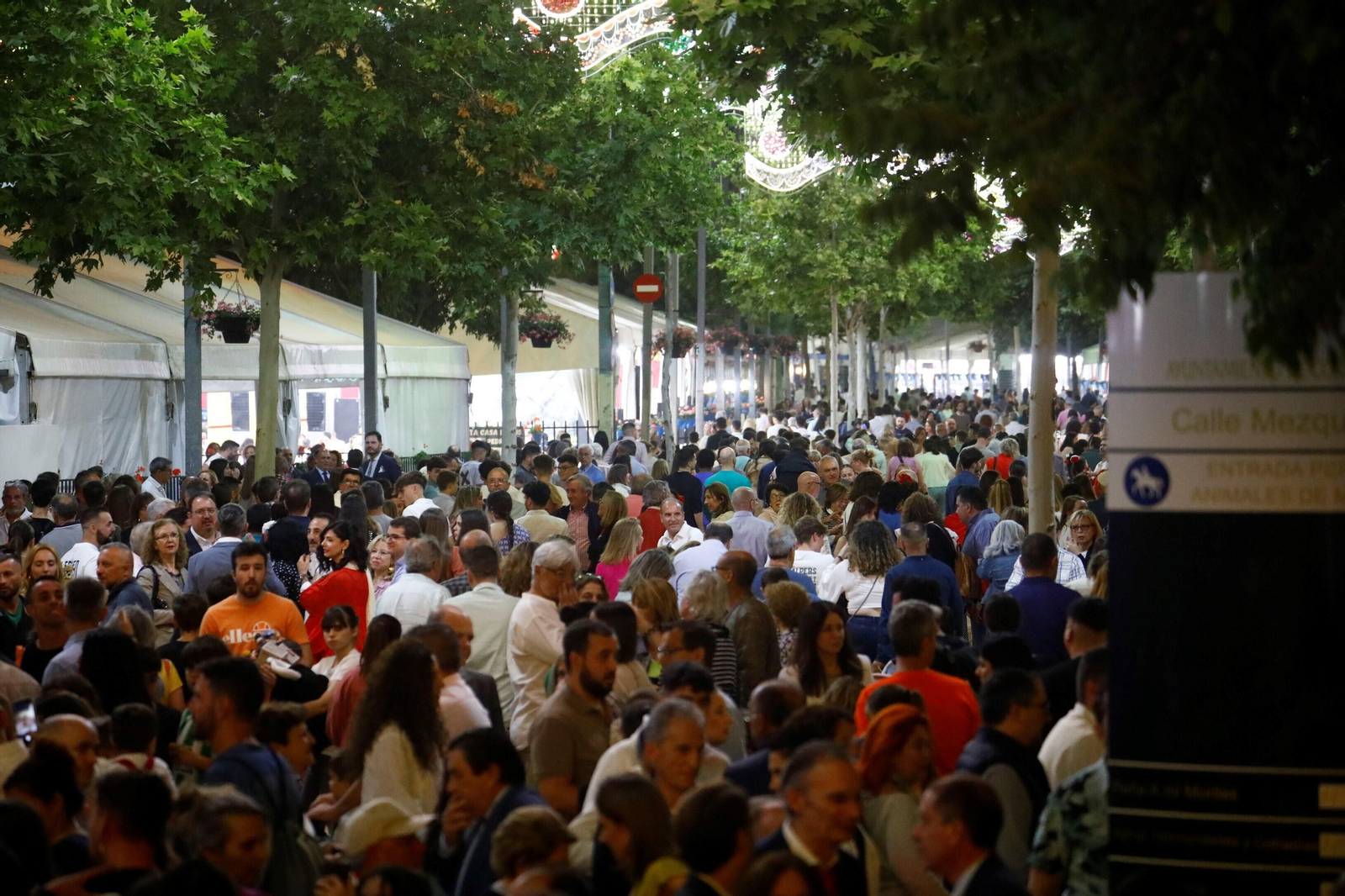 Córdoba ya disfruta de su Feria: las mejores fotos del alumbrado de la portada