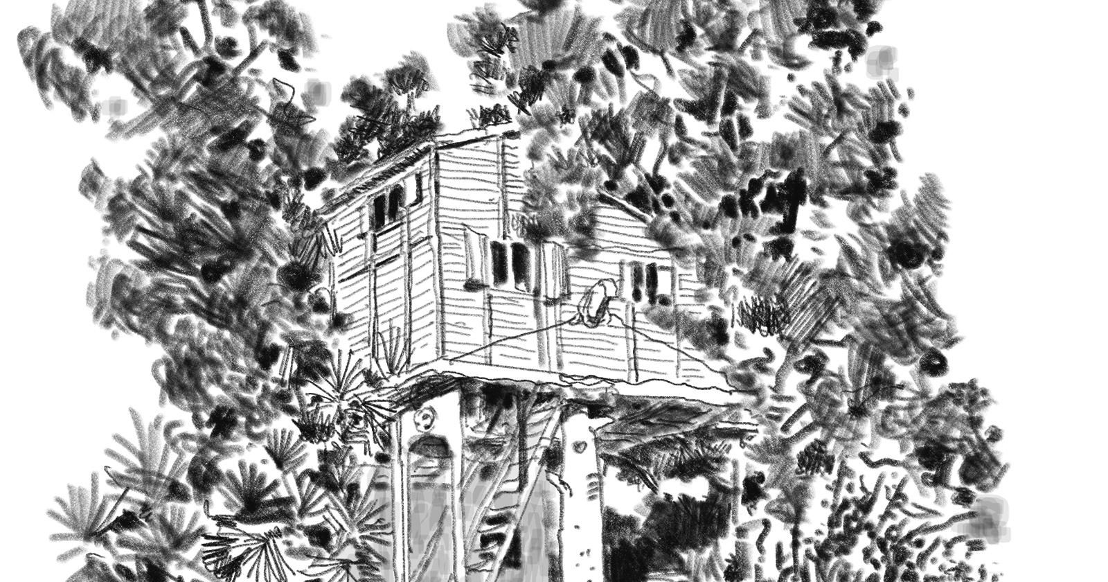 Ilustración de la casita en el árbol de Ciuda Jardín