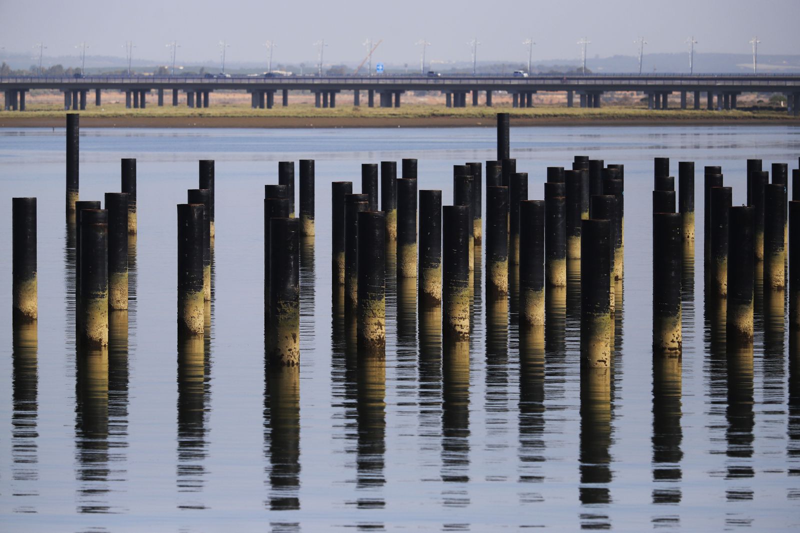 Las imágenes más destacadas del lunes 3 de julio en Huelva