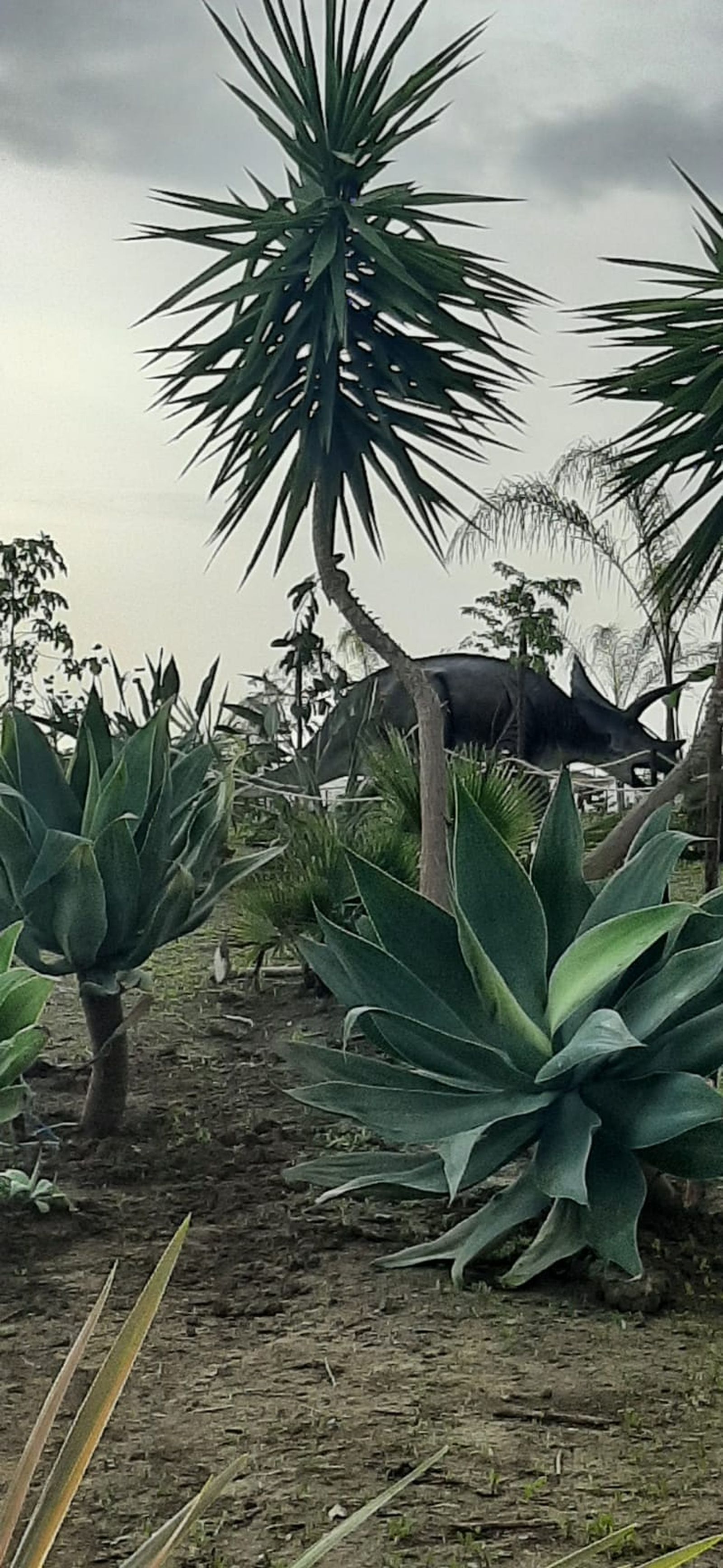 Una de las recreaciones