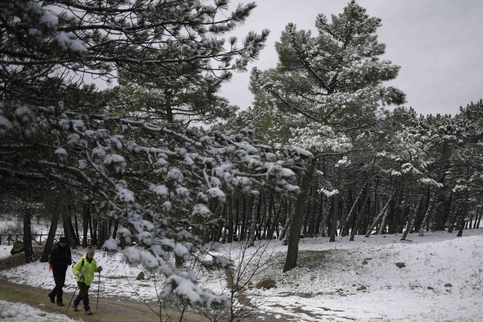 La excursiones a los parajes nevados de Málaga, en imágenes