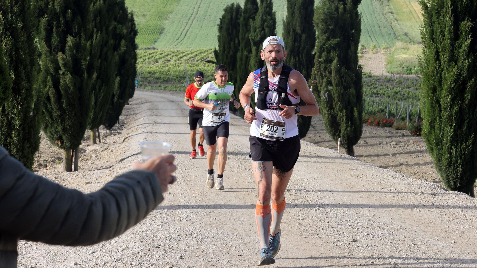 Búscate en la Sherry Maratón 2025 de Jerez (I)