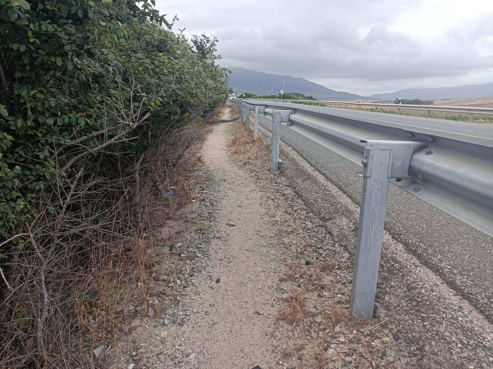 Vamos tras el quitamiedos junto a la N-340