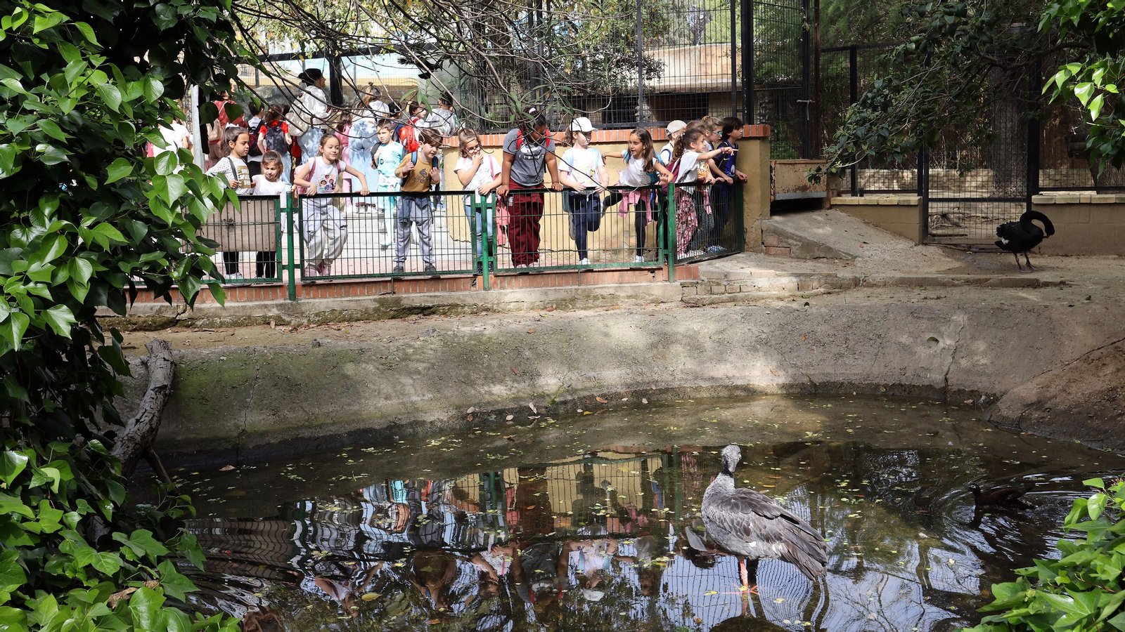 Día Mundial del Agua de Aquajerez y aniversario de Diario de Jerez en el Zoo