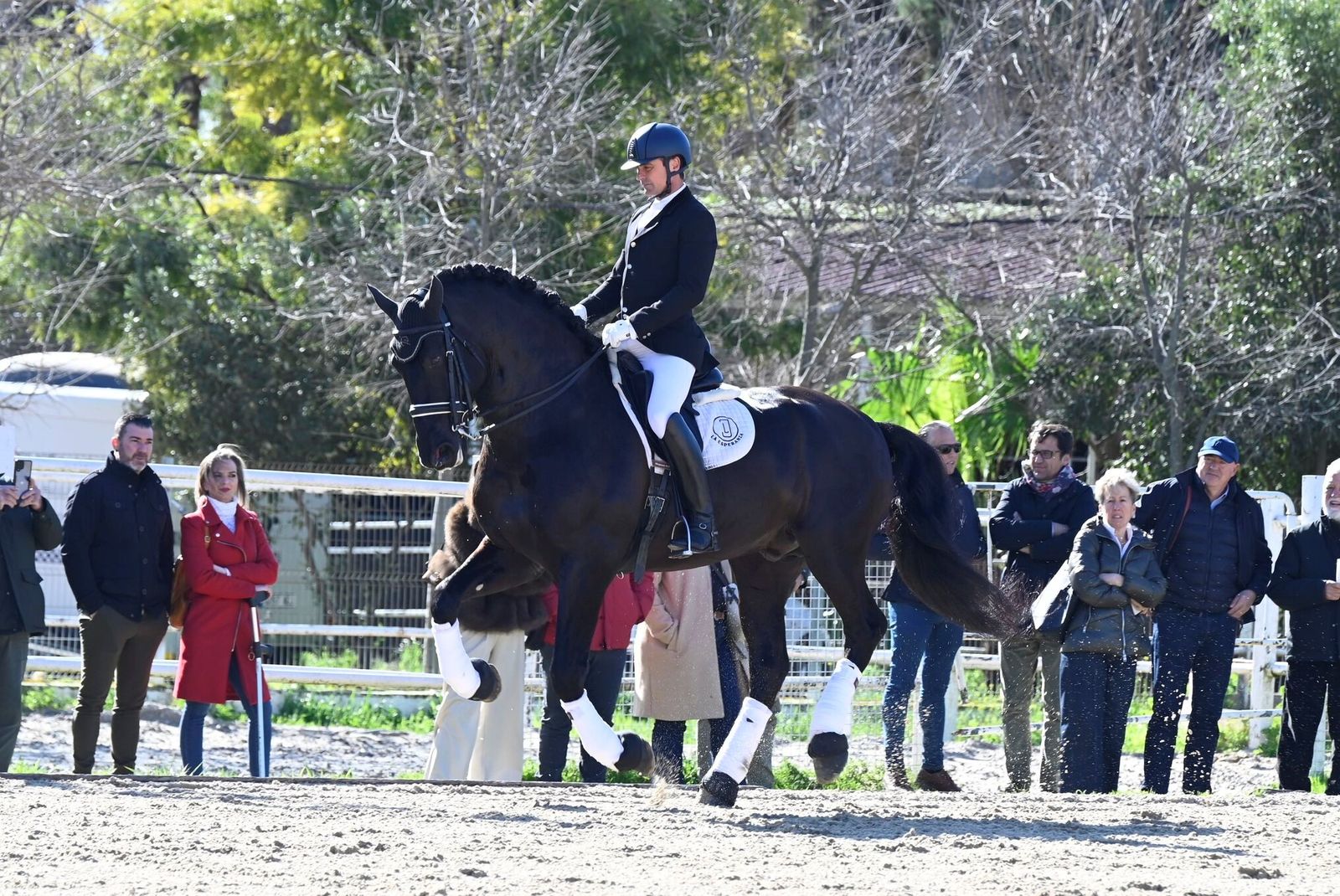 La Presentación de Sementales PRE 2026 en Córdoba, en imágenes