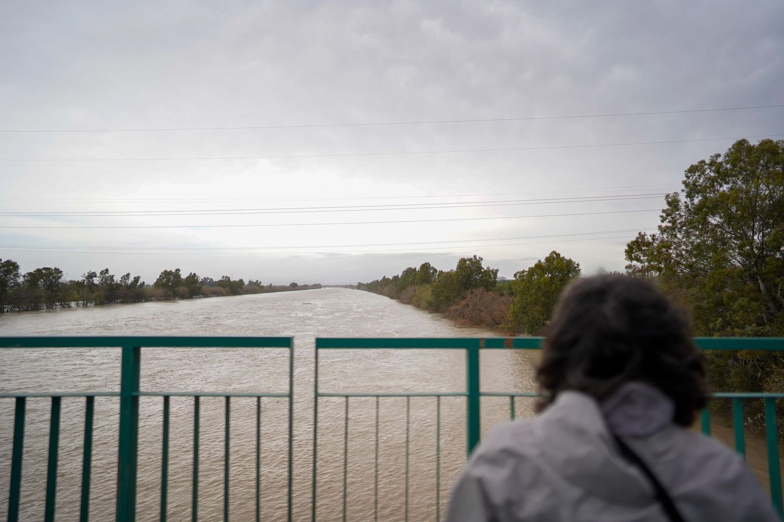 WhatsApp Image 2026-02-07 at 16.49.35 (2)