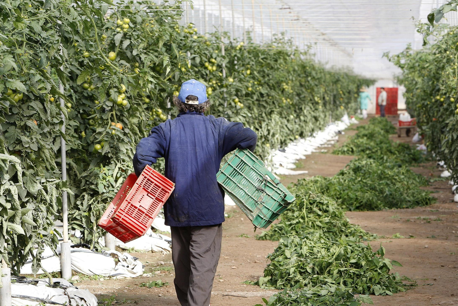 Trabajadores del campo