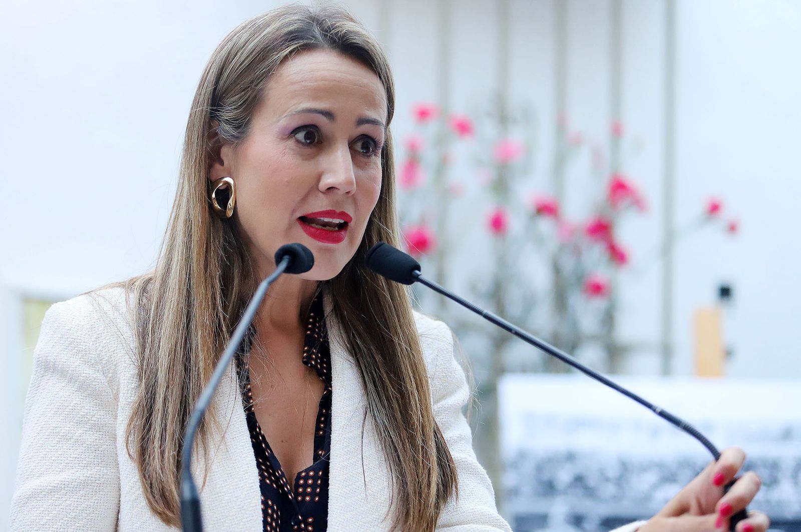 Imágenes del homenaje a 16 peñas taurinas de Huelva