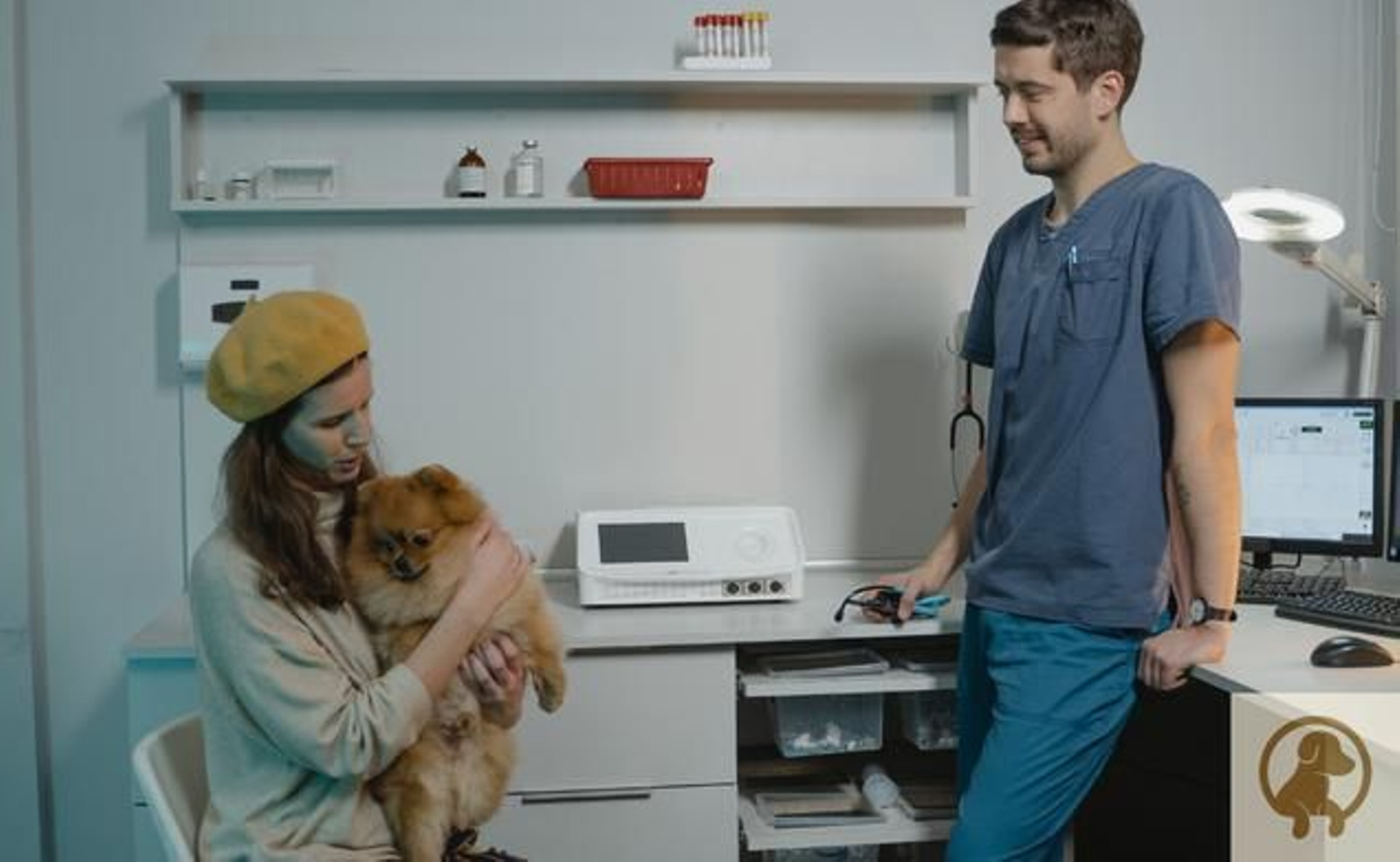 ¿Estoy obligado a castrar a mi perro con la Nueva Ley de Bienestar Animal?