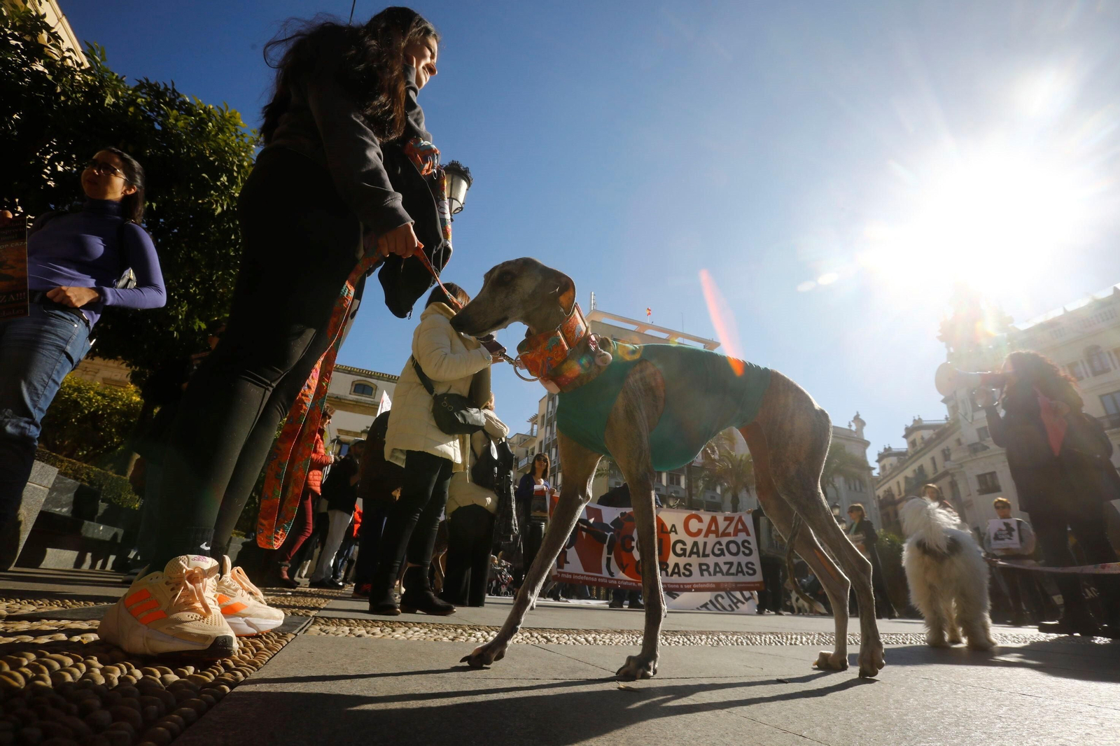 La protesta contra la caza en Córdoba, en imágenes