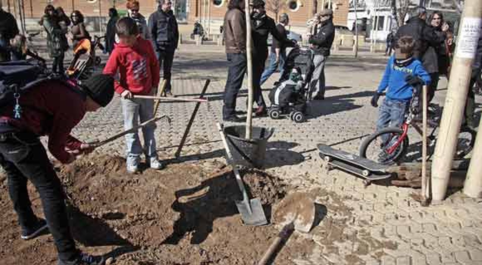 Plantación de fresnos contra "el abandono" del arbolado en la Alameda