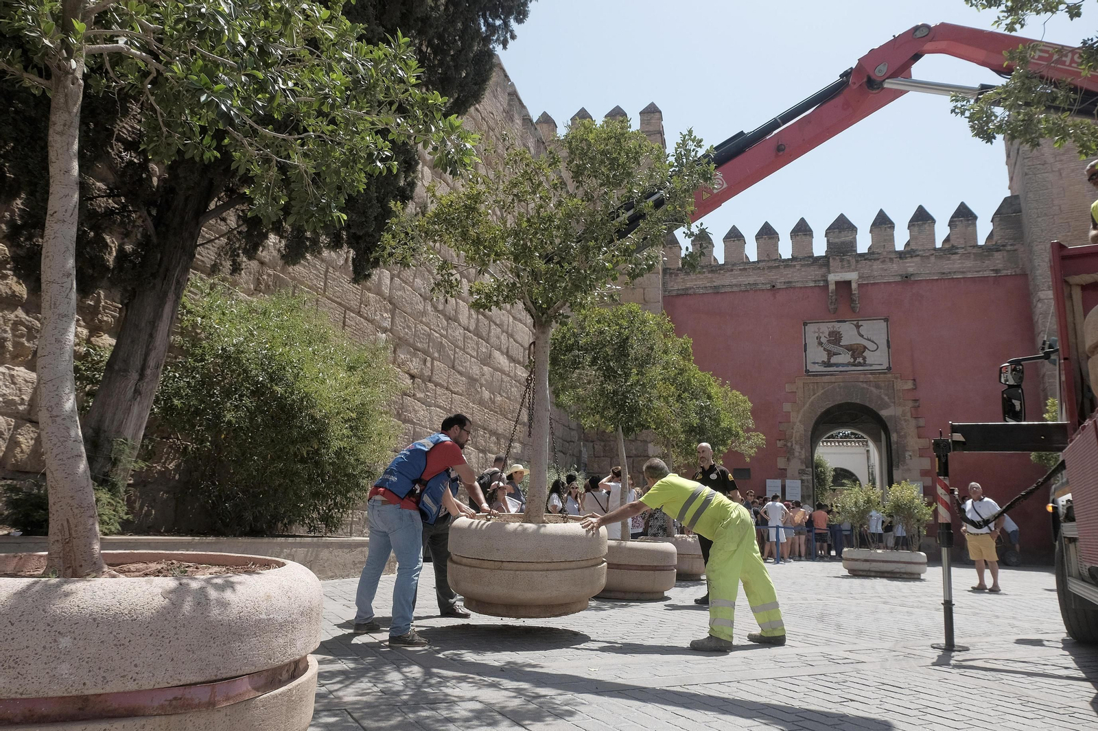 Colocación de macetones en la Puerta del León tras los atentados de Cataluña.