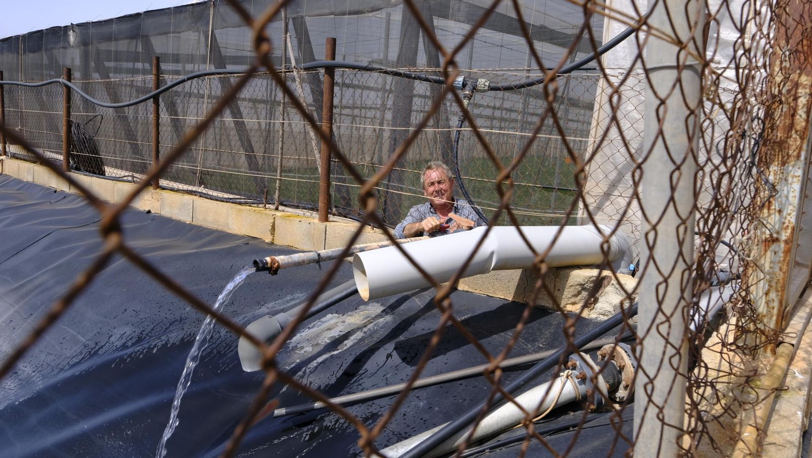 Imágenes de las primeras sandías que salen de Almería esta campaña