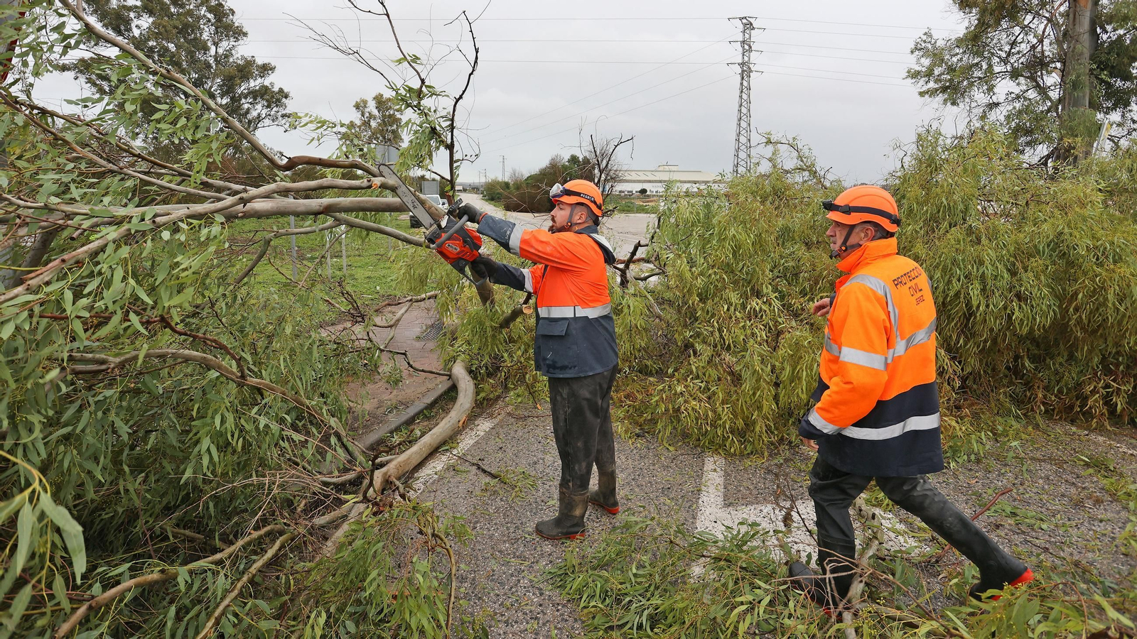 Imágenes del temporal de viento y lluvia en Jerez
