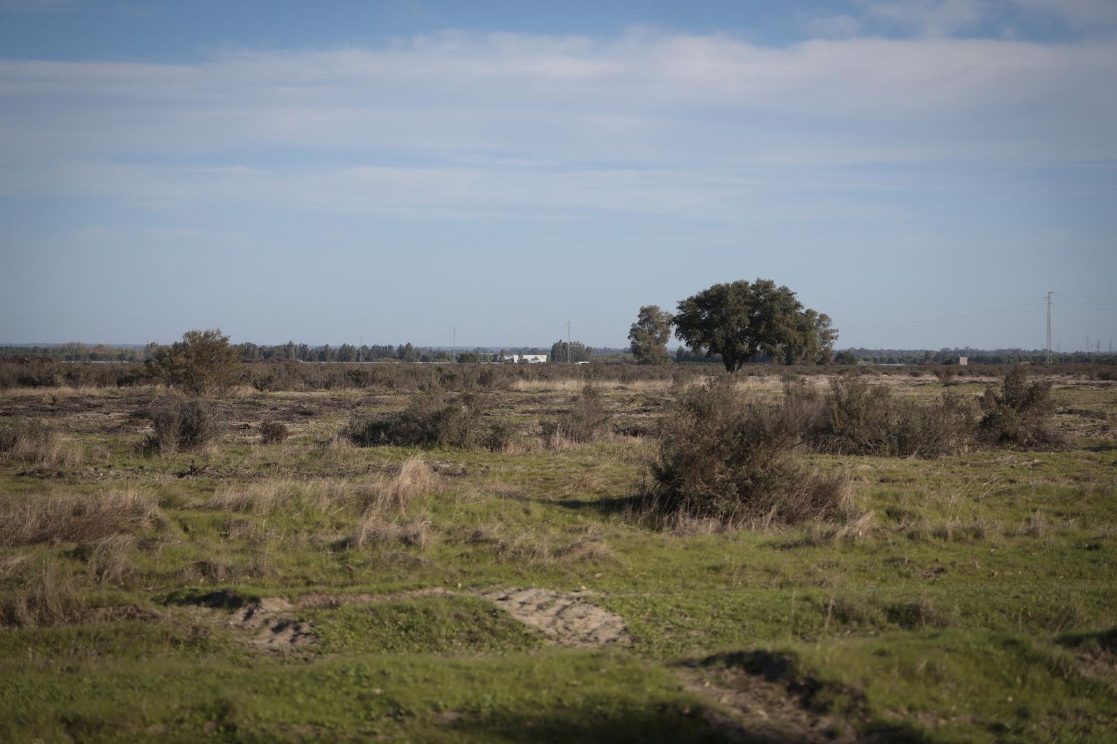 La renaturalización de Los Mimbrales: imágenes de la transformación del espacio natural