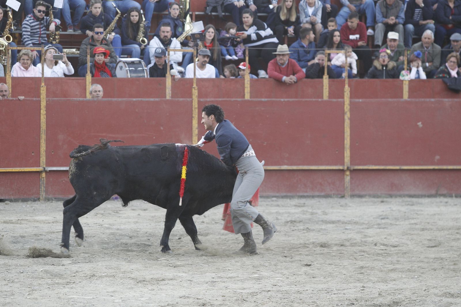 Fotogalería Festival Taurino Mixto. Fiestas de Abrucena.