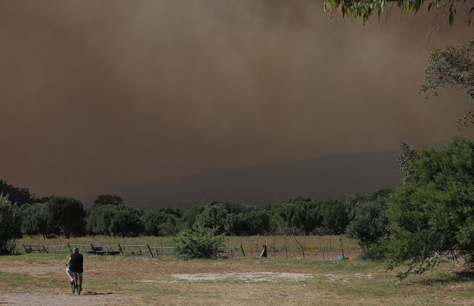 Imágenes del incendio de monte La Peña en Tarifa Imágenes del incendio de monte La Peña en Tarifa