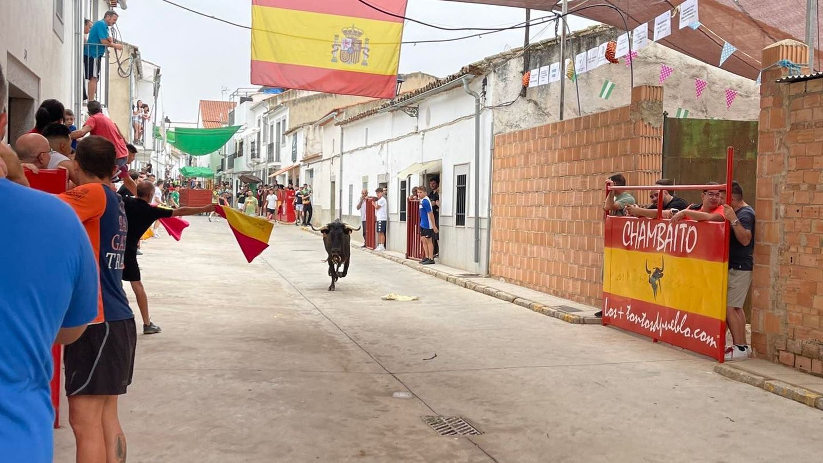 El encierro taurino de Dos Torres por San Roque, en imágenes