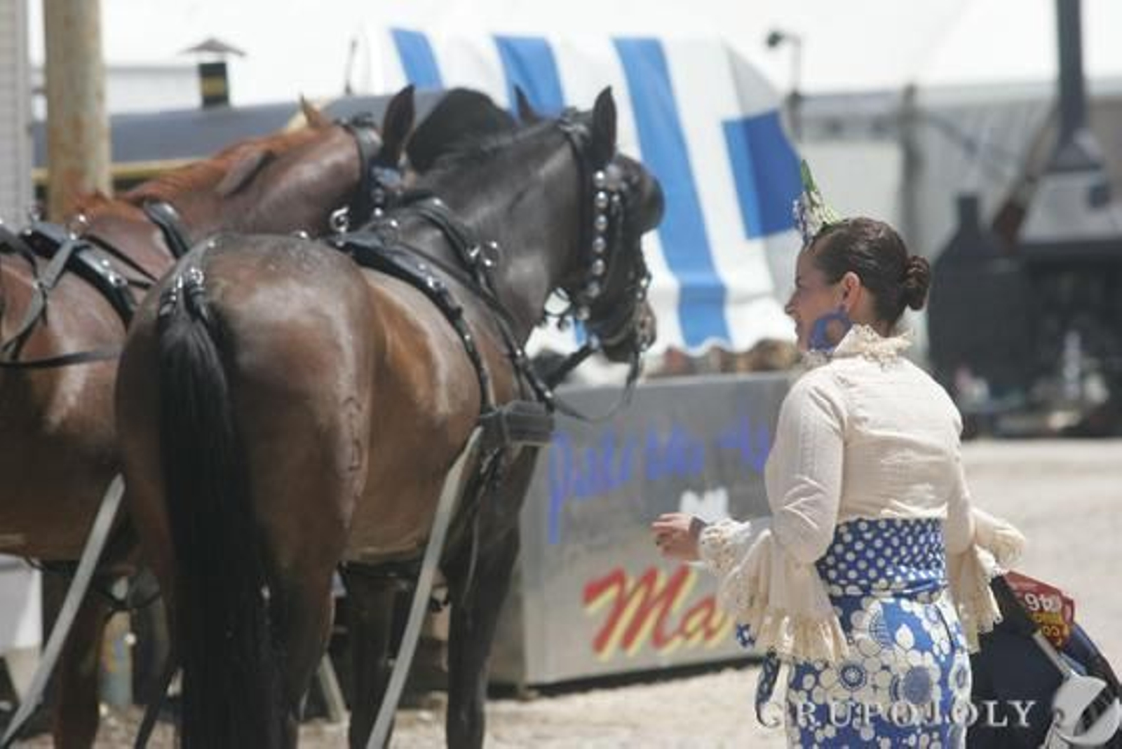Los caballos y el buen ambiente en la recta final de la feria.

Foto: J.M. Quinones