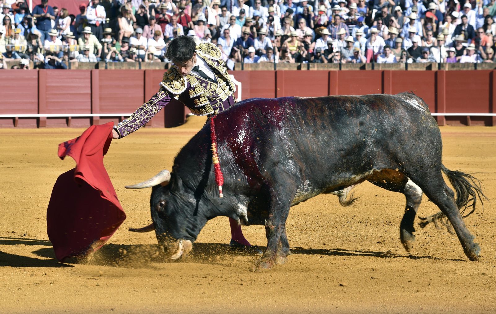 La 14ª de abono en la Real Maestranza de Sevilla, en imágenes