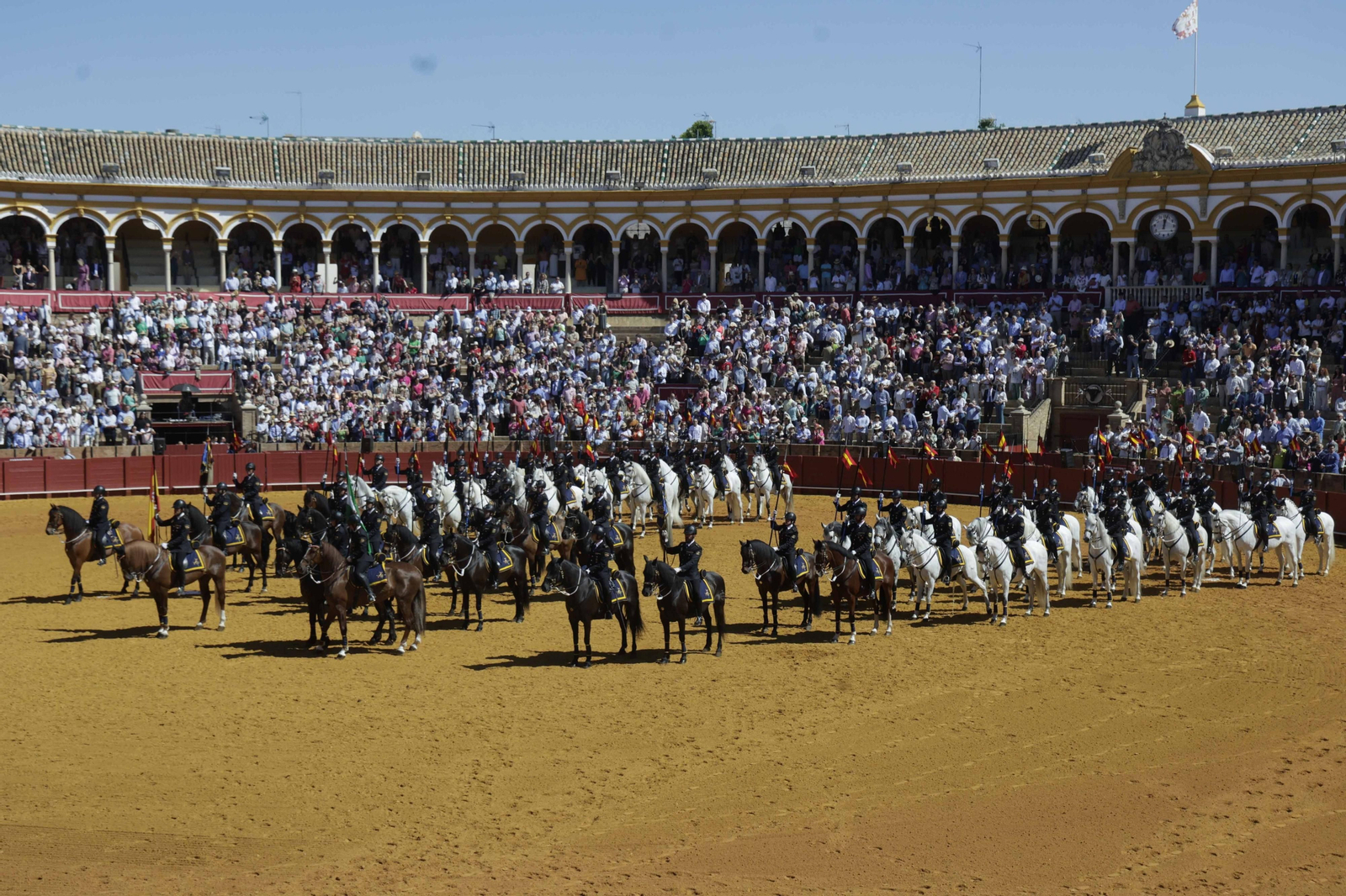 Las imágenes de la exhibición  de enganches en la Maestranza