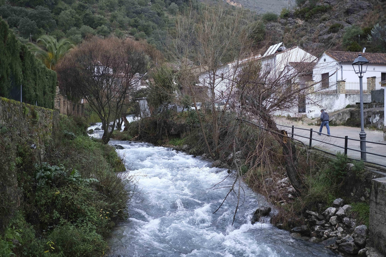 Agua del nacimiento de la Estación de Benaoján a su paso por la barriada. Agua del nacimiento de la Estación de Benaoján a su paso por la barriada.