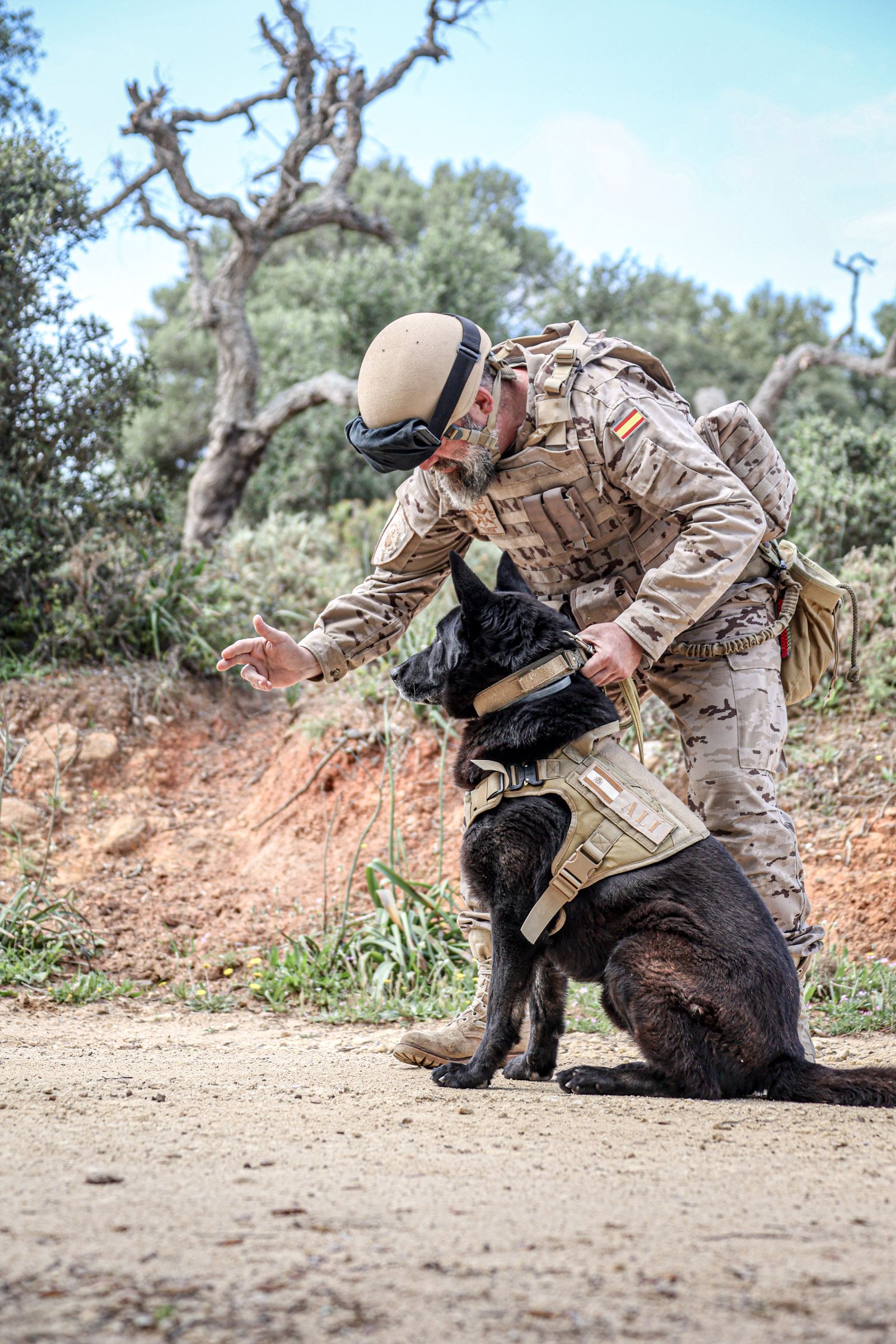 Fuerzas Armadas: Así se adiestran los equipos de desactivación de explosivos en Cádiz