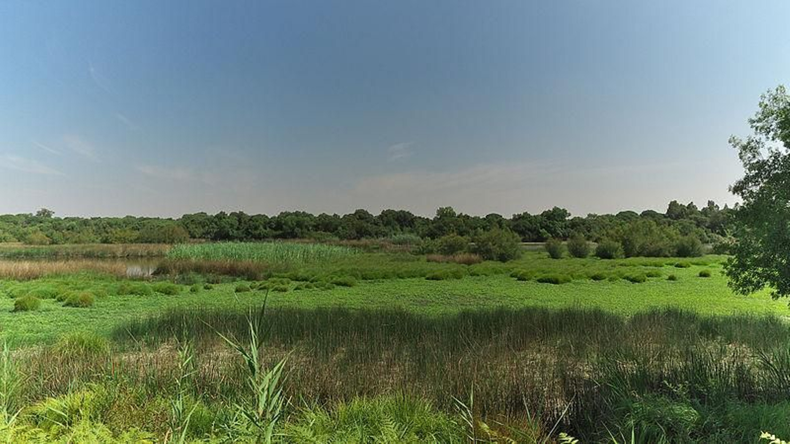 Parque Nacional de Doñana (Huelva)