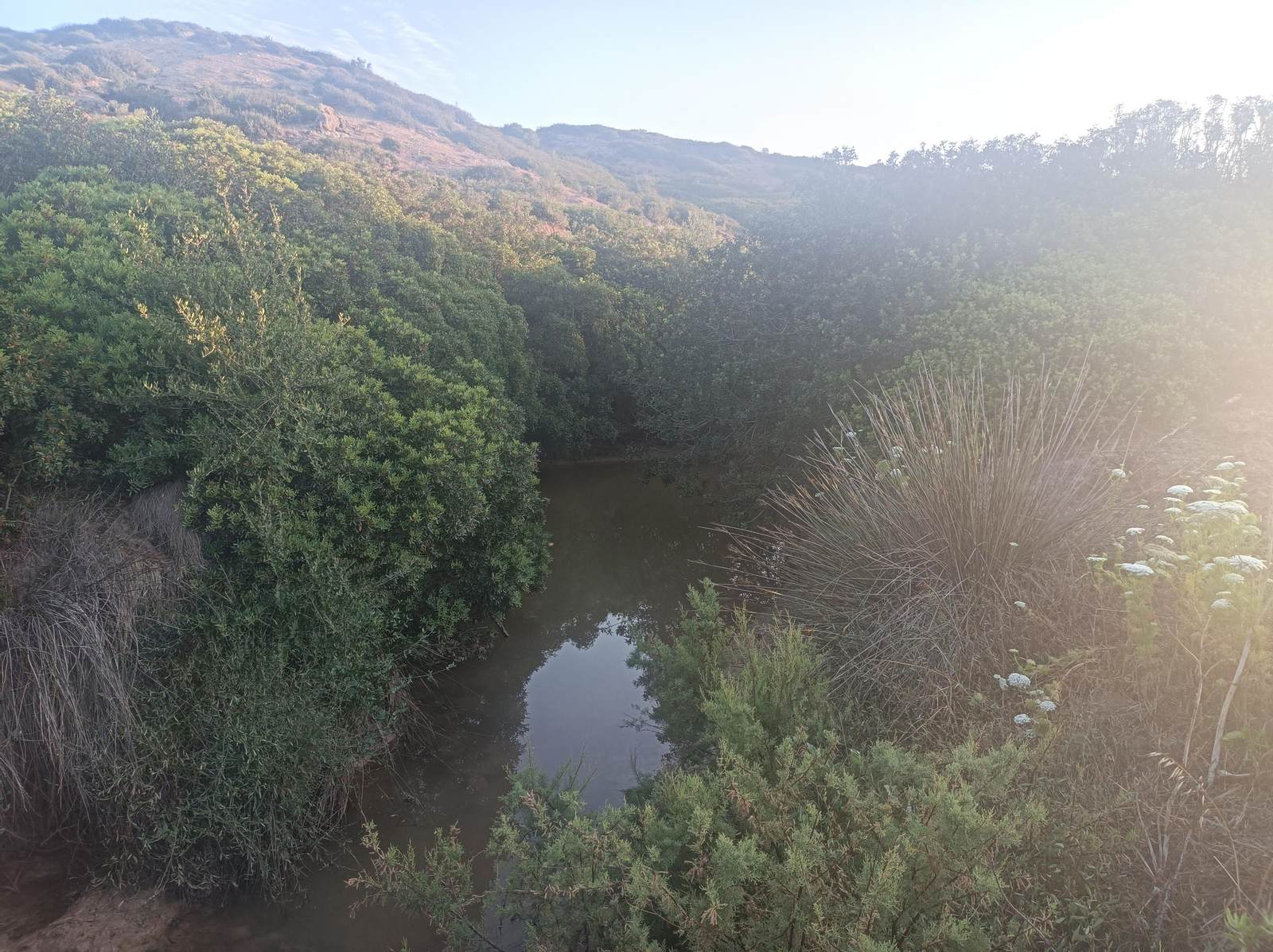 Pasamos junto algunos humedales.