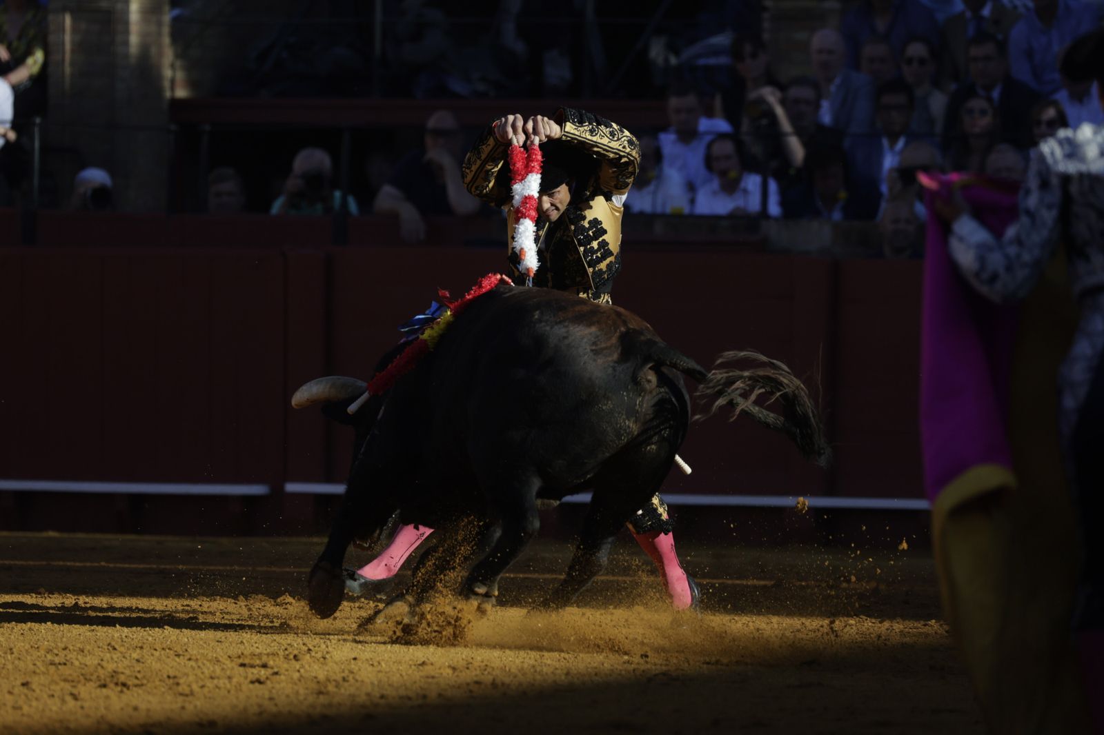 Las imágenes del festejo