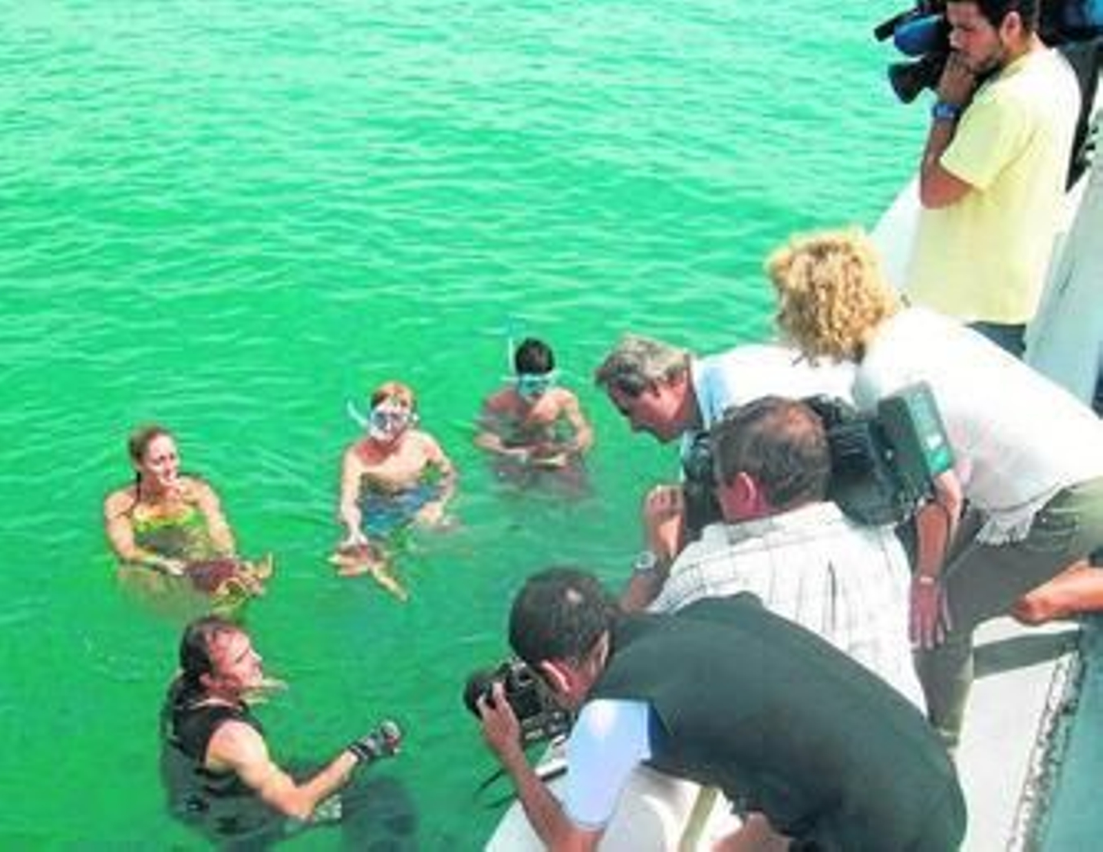 Miembros del Crema en el momento de la suelta de las tortugas recuperadas en la bahía de Málaga.