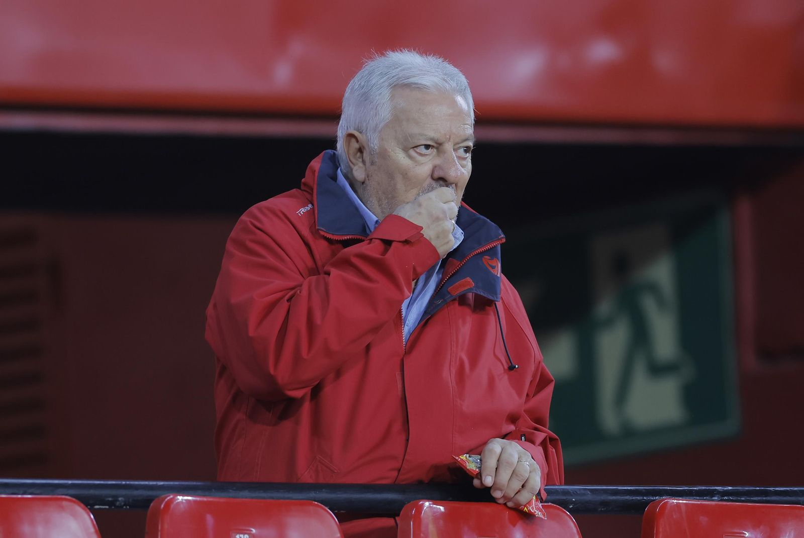 Búscate en las fotos del Sevilla fc - Osasuna