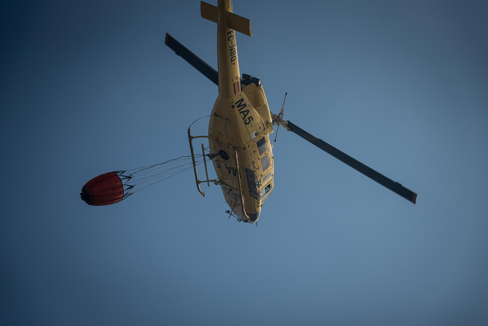 El incendio de Lucena del Puerto en imágenes