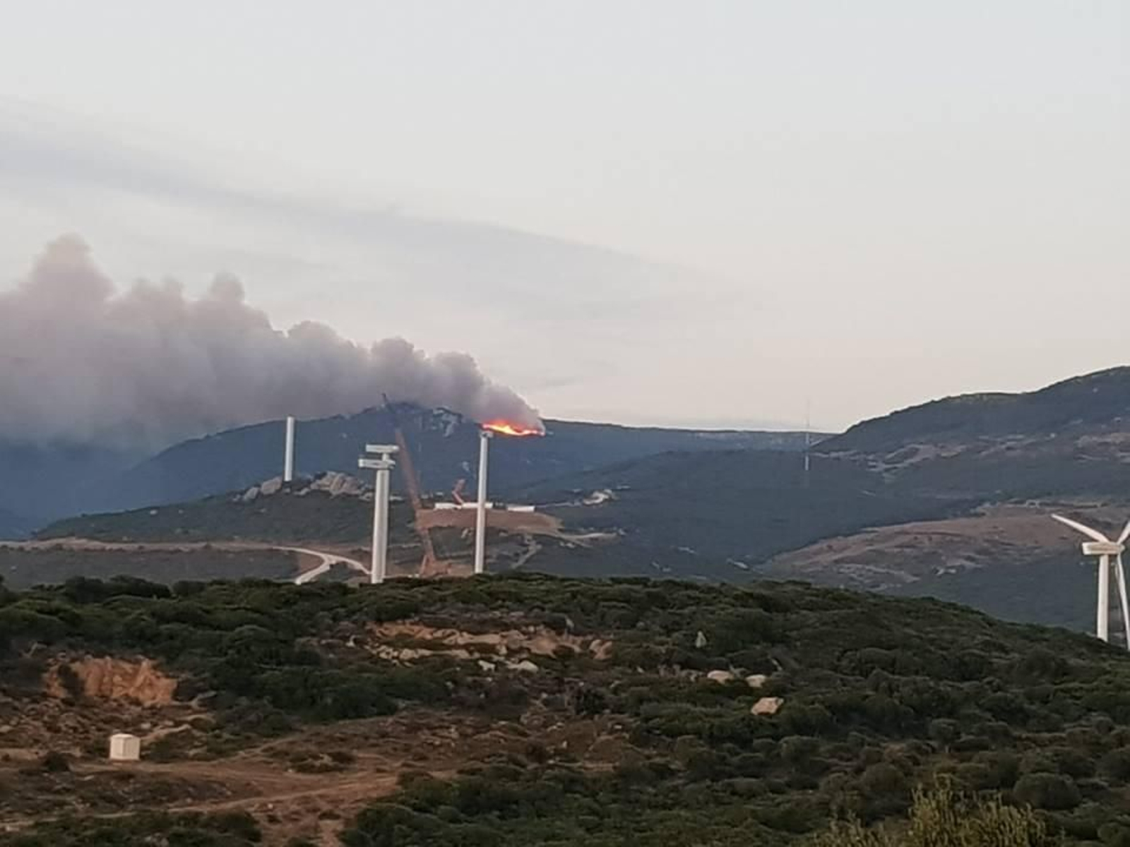Distintas imágenes del incendio de Tarifa.