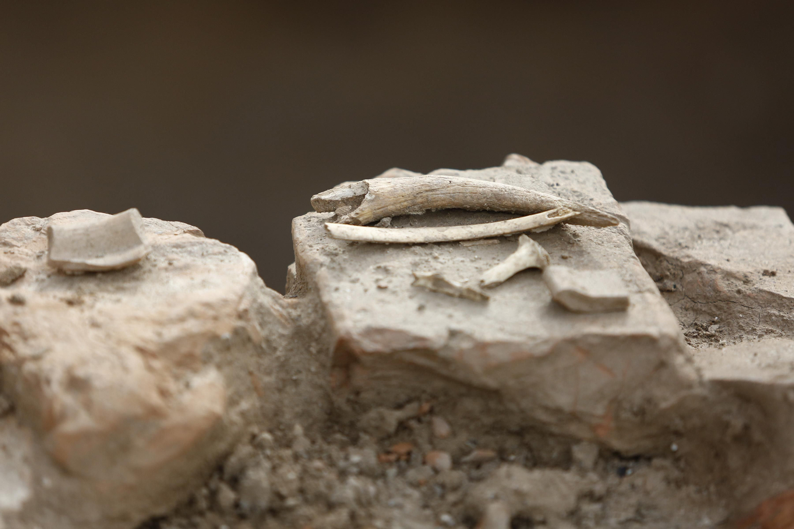 Las imágenes de las termas romanas  Los Mondragones