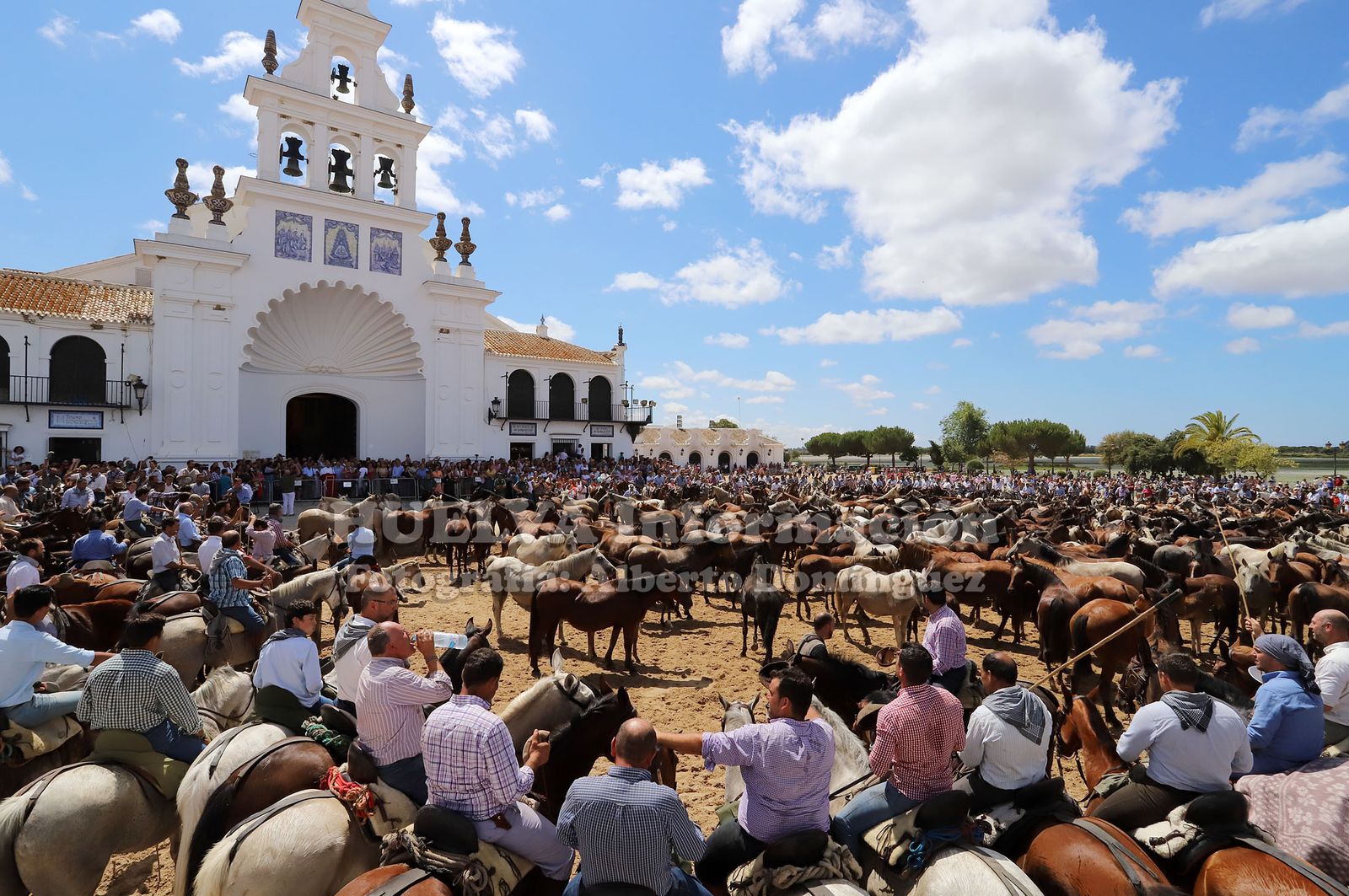 Imágenes de la saca de yeguas 2019