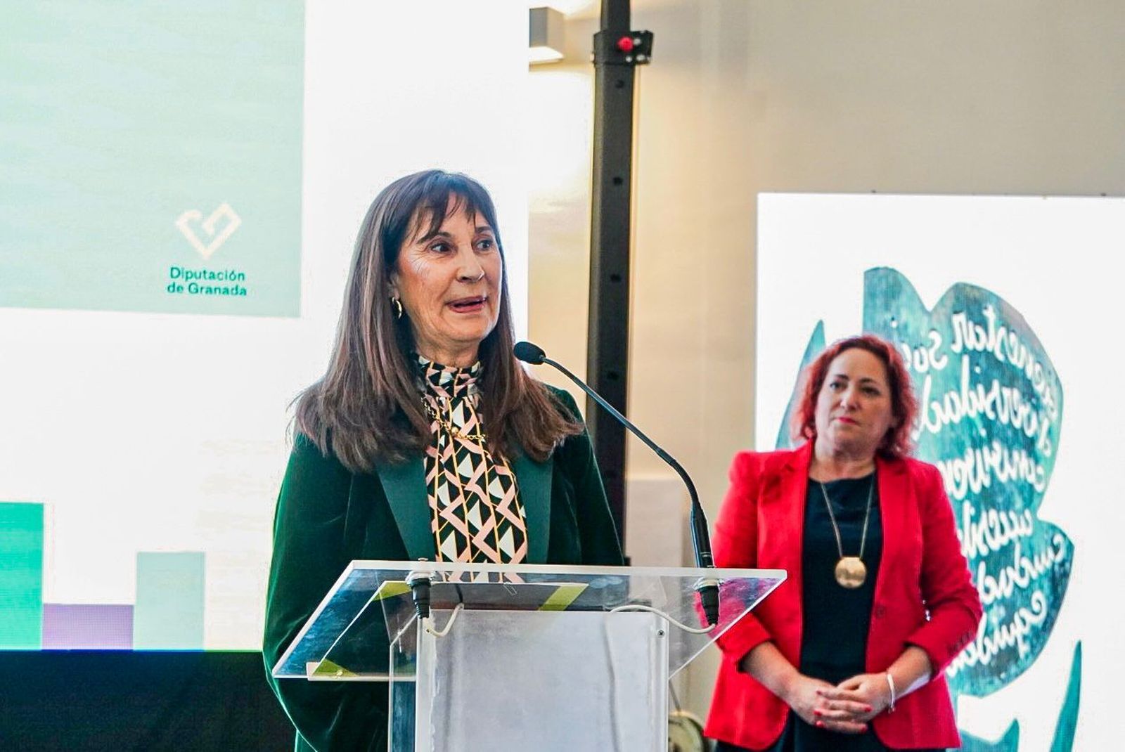 Fotos: Así han sido los mejores momentos de los Premios Social-Dipgra de Granada