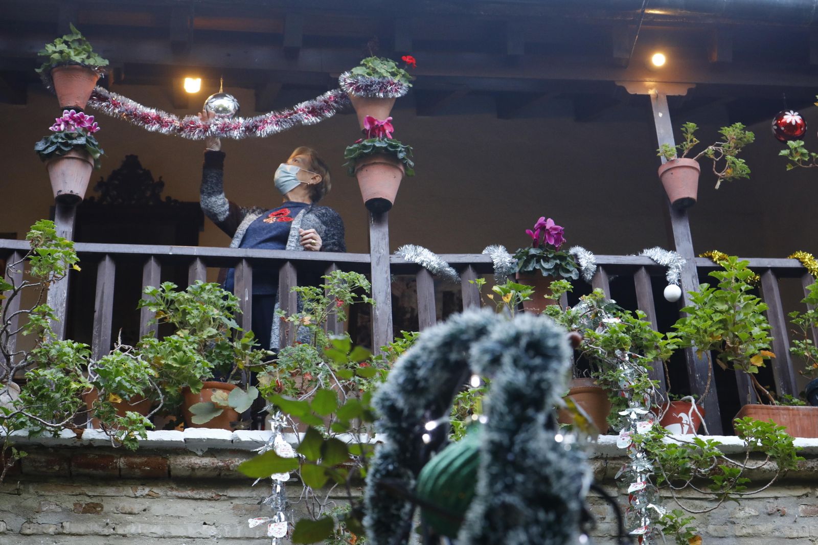 Las fotografías de los Patios de Córdoba en Navidad
