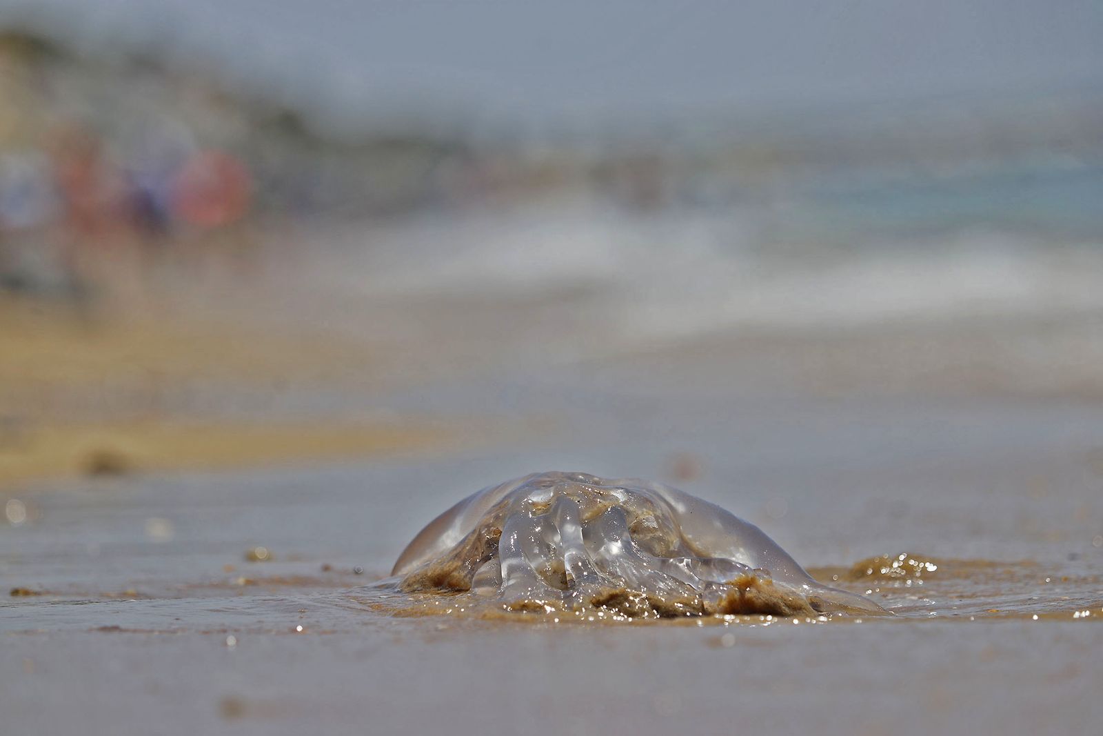 Ambiente en las playas de Huelva en el domingo 2 de julio