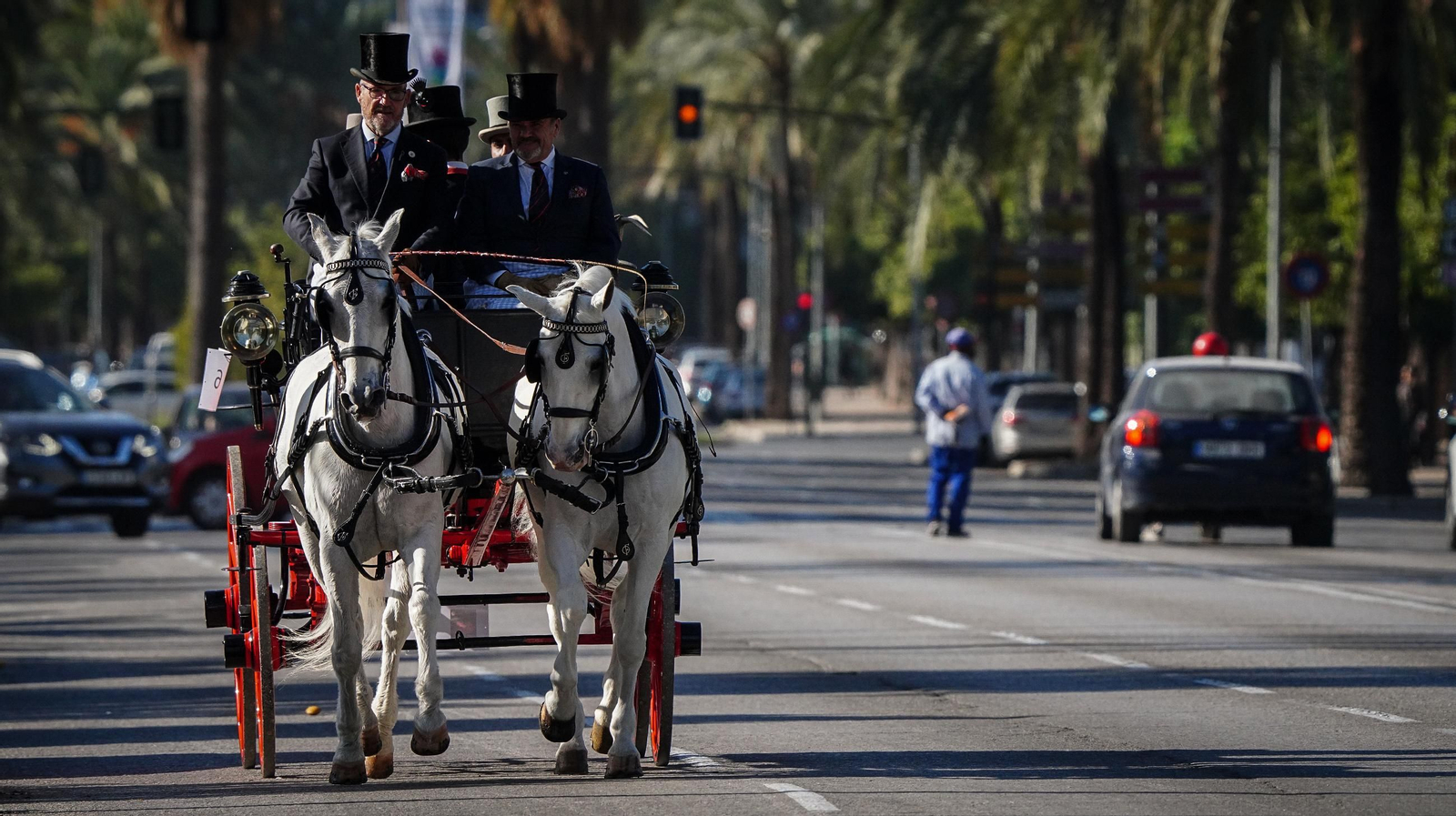 Tradición y elegancia en el Concurso Internacional de Enganches