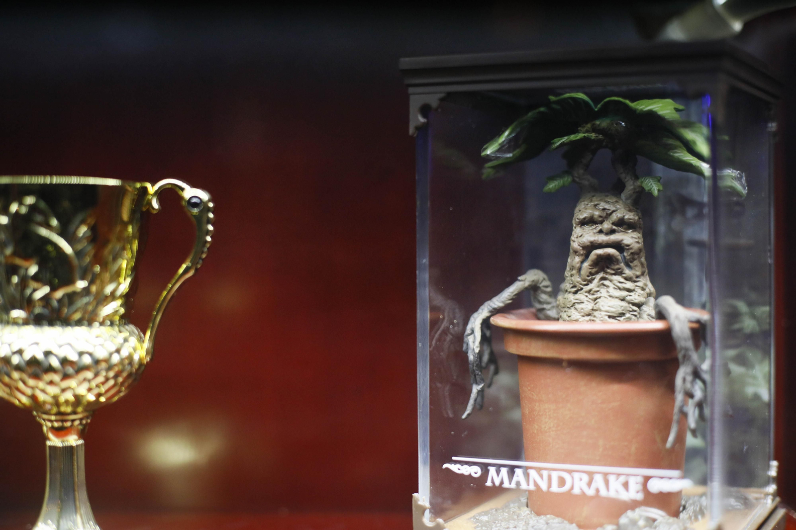 No es lugar para no magos abre en Almería, te lo contamos en imágenes